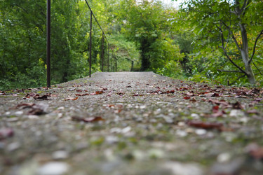 Similar image 21374114