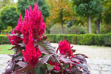 Similar image 21374122