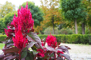 Similar image 21374410