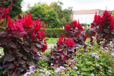 Similar image 21374412