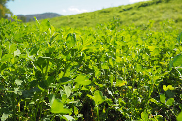 Similar image 21374420