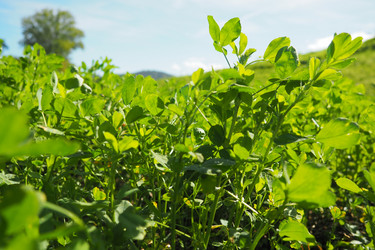 Similar image 21374422