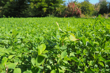 Similar image 21374426