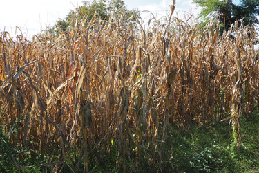 Similar image 21374677