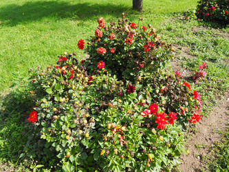 Similar image 21374825