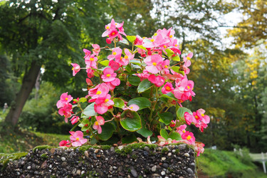 Similar image 21374429