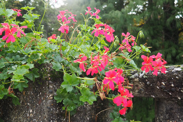 Similar image 21374433