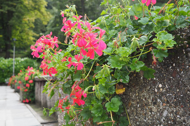 Similar image 21374436