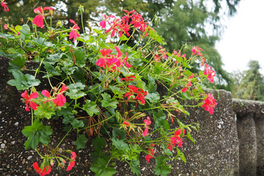 Similar image 21374440