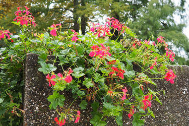 Similar image 21374442