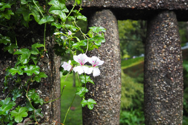 Similar image 21374448