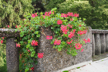 Similar image 21374687