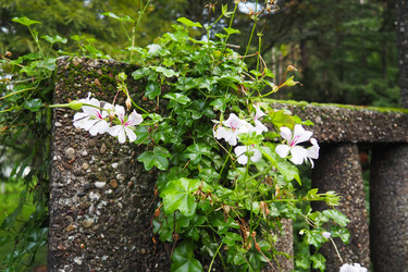 Similar image 21374689