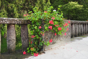 Similar image 21374693