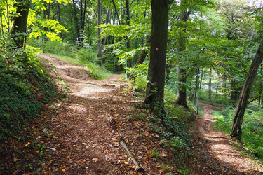 Similar image 21374460