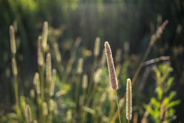 Similar image 21356373