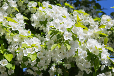 Similar image 21350319