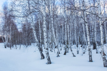 Similar image 21350439