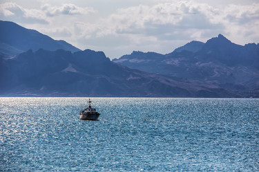 Similar image 21370701