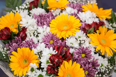 Similar image 21370970