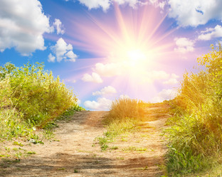 Similar image 21350064