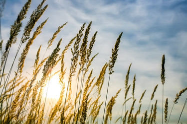 Similar image 21350639