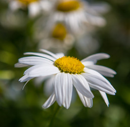 Similar image 21366583