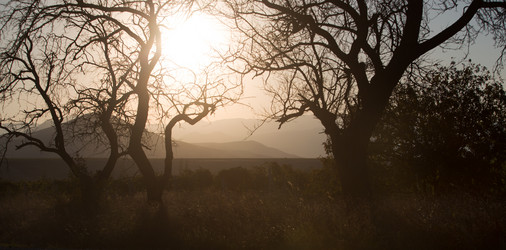 Similar image 21366584