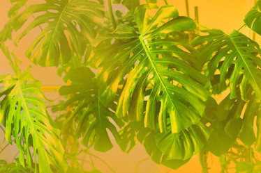 Similar image 21363666