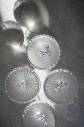 Similar image 21364364