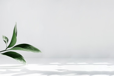 Similar image 21344145