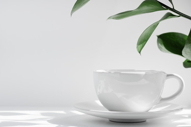 Similar image 21345716