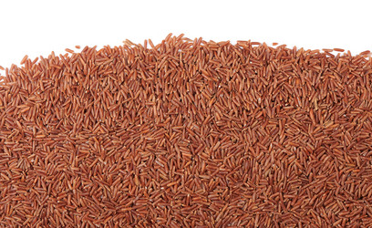 Similar image 21351782