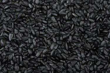 Similar image 21351534