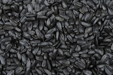 Similar image 21351795