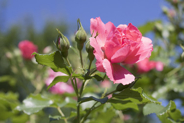 Similar image 21344154