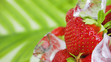 Similar image 21344168