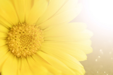 Similar image 21344170