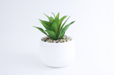 Similar image 21346951