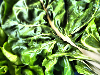 Similar image 21375105