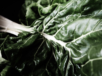 Similar image 21375114