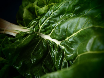 Similar image 21375319