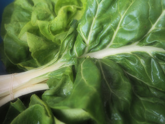 Similar image 21375321