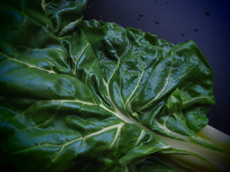 Similar image 21375683