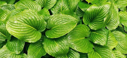 Similar image 21374145