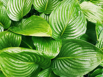 Similar image 21374147