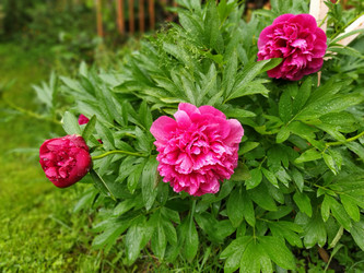 Similar image 21374470