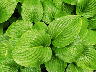 Similar image 21374471