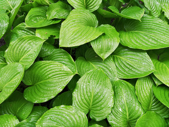 Similar image 21374472