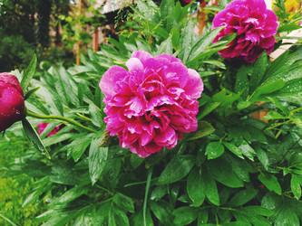 Similar image 21374473